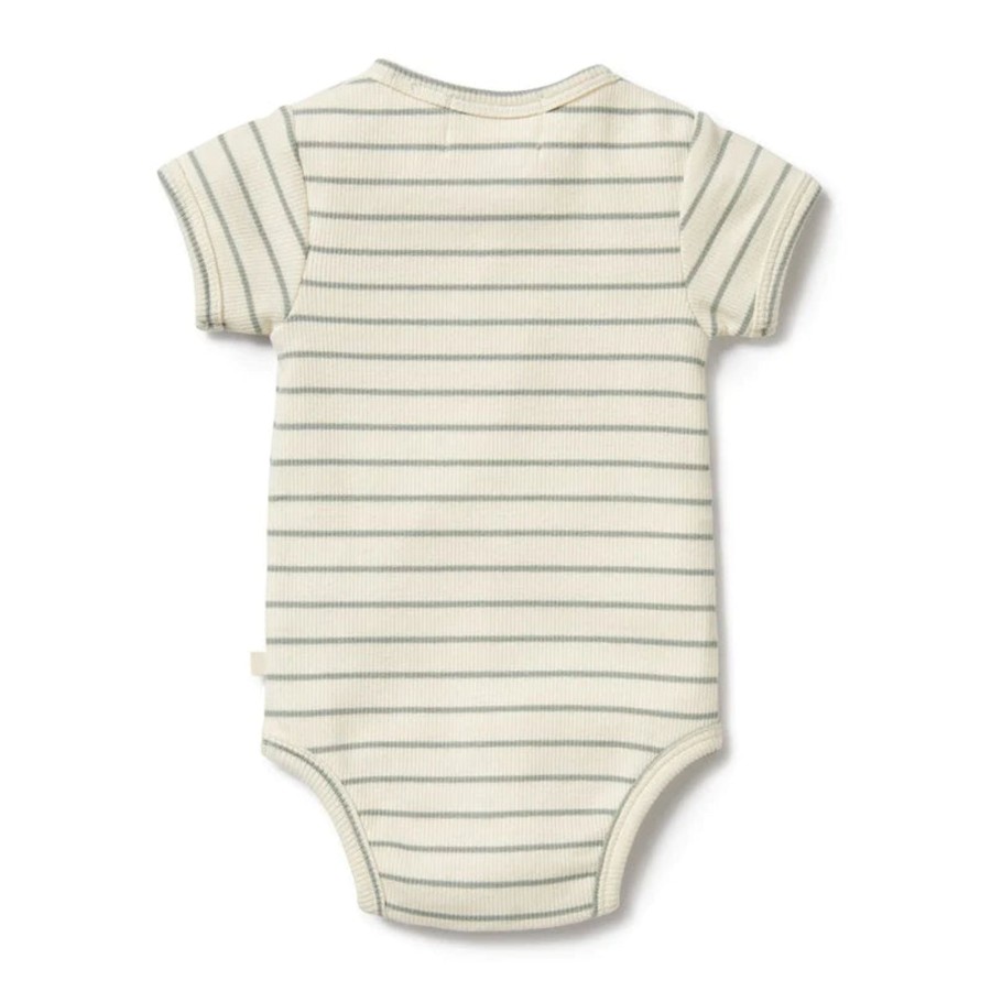 Books, Toys & Gifts Wilson & Frenchy Something To Wear | Wilson & Frenchy Organic Rib Henley Bodysuit - Petit Sage