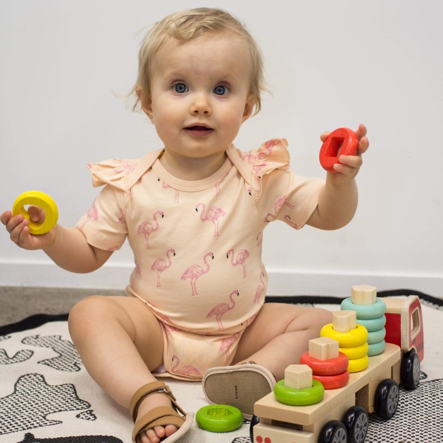 Books, Toys & Gifts Discoveroo Stocking Fillers | Discoveroo Sort N Stack Wooden Truck