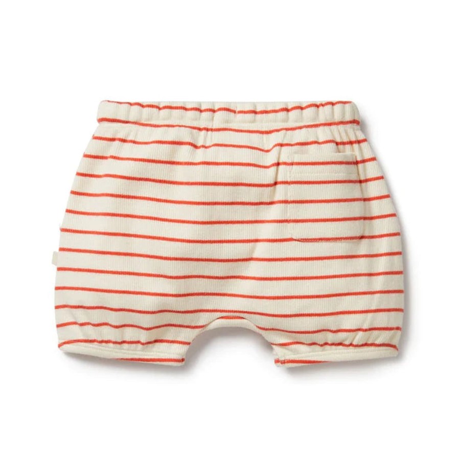 Books, Toys & Gifts Wilson & Frenchy Something To Wear | Wilson & Frenchy Organic Bloomer Short - Petit Rouge