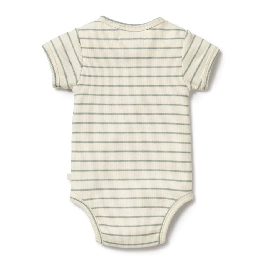 Babies Wilson & Frenchy Gender-Neutral Clothes | Wilson & Frenchy Organic Rib Henley Bodysuit - Petit Sage