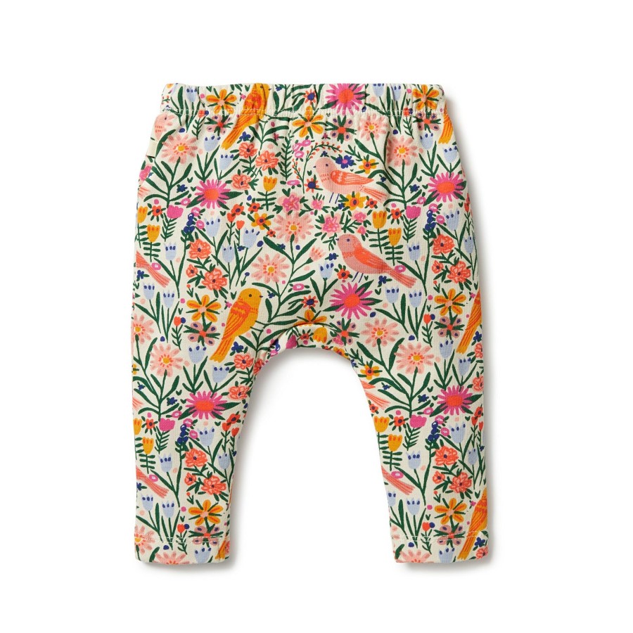 Babies Wilson & Frenchy Gender-Neutral Clothes | Wilson + Frenchy Organic Legging - Birdy Floral