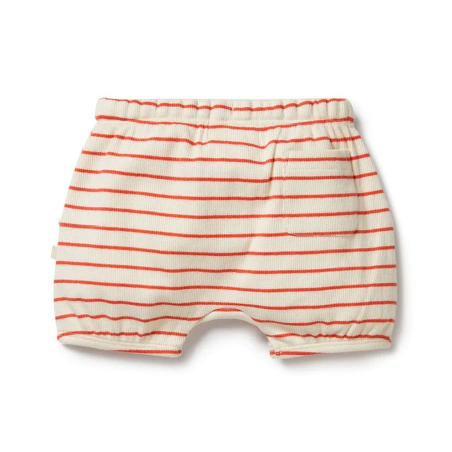 Babies Wilson & Frenchy Gender-Neutral Clothes | Wilson & Frenchy Organic Bloomer Short - Petit Rouge