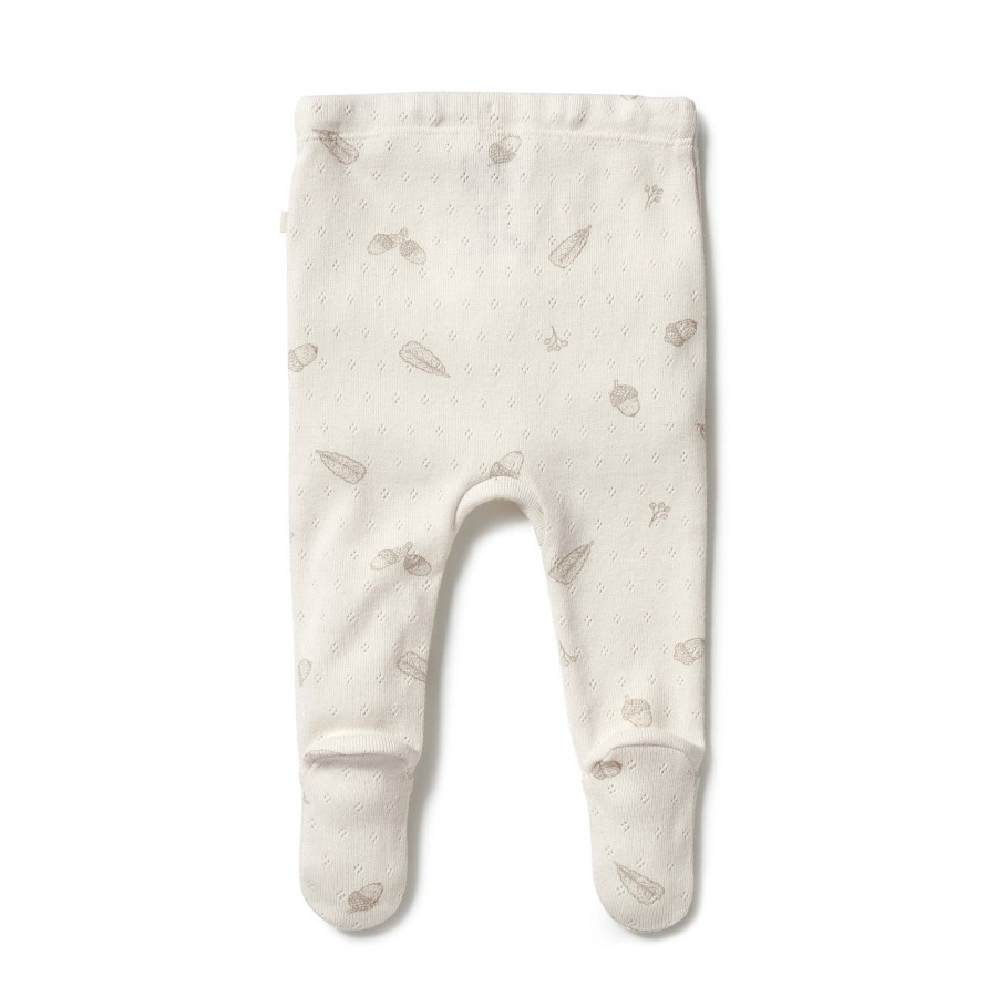 Books, Toys & Gifts Wilson & Frenchy Something To Wear | Wilson + Frenchy Organic Pointelle Legging With Feet - Little Acorn