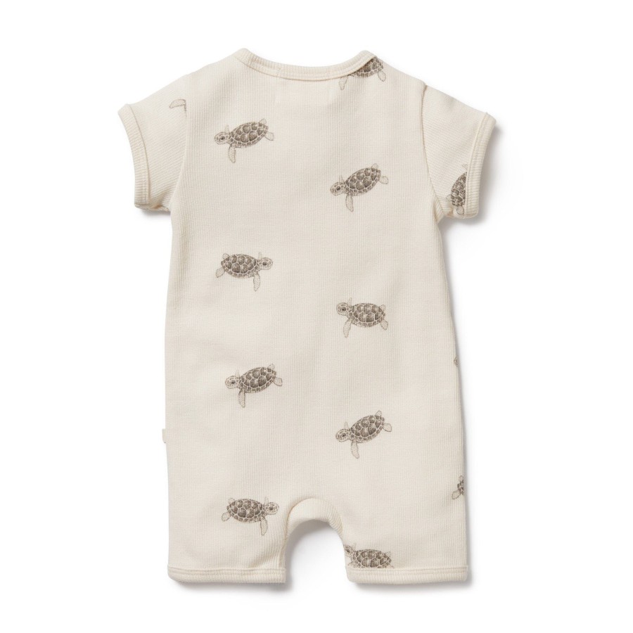 Babies Wilson & Frenchy Gender-Neutral Clothes | Wilson & Frenchy Organic Rib Boyleg Zipsuit - Tiny Turtle