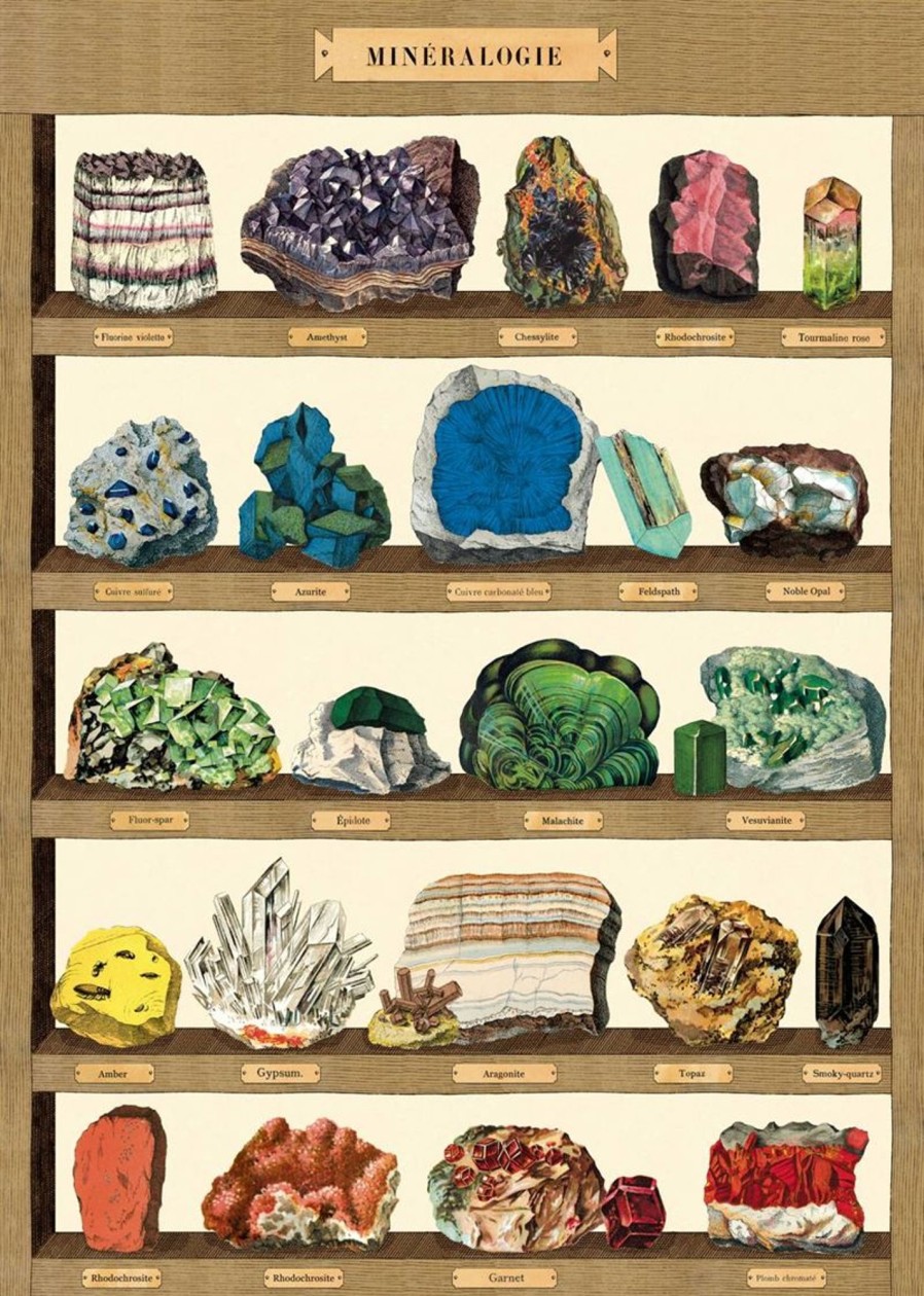 Babys Room Cavallini & Co Room Decor | Cavallini & Co Mineralogie 2 Poster