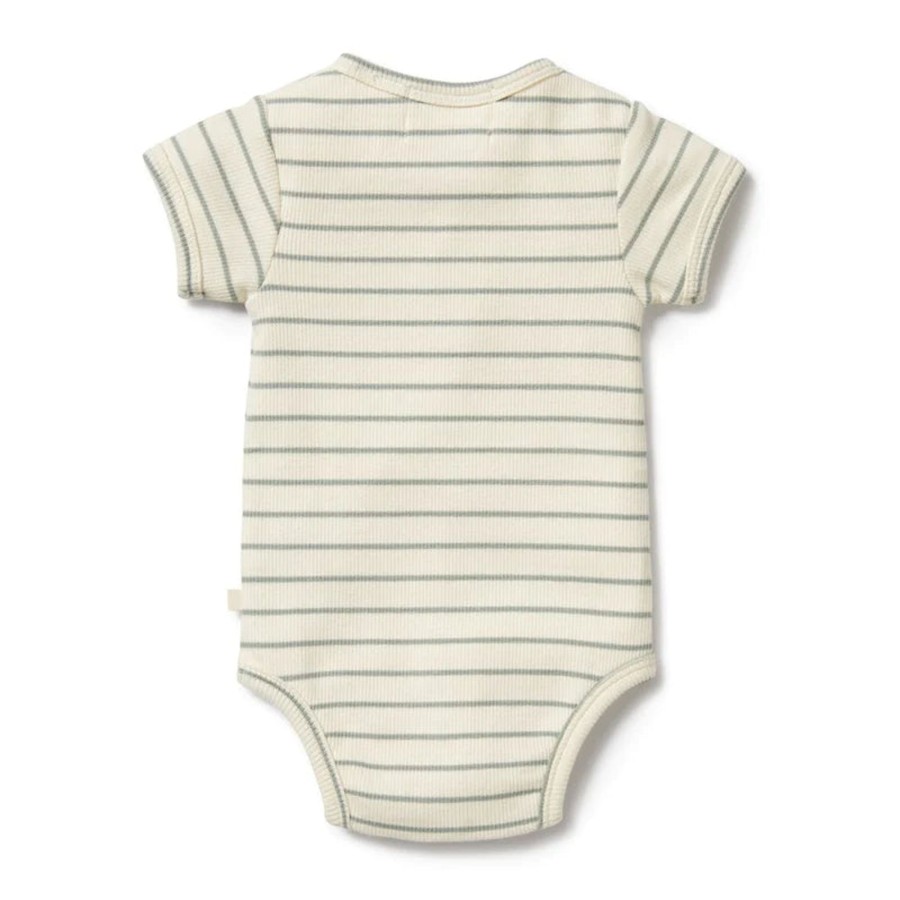 Babies Wilson & Frenchy Baby Clothes | Wilson & Frenchy Organic Rib Henley Bodysuit - Petit Sage