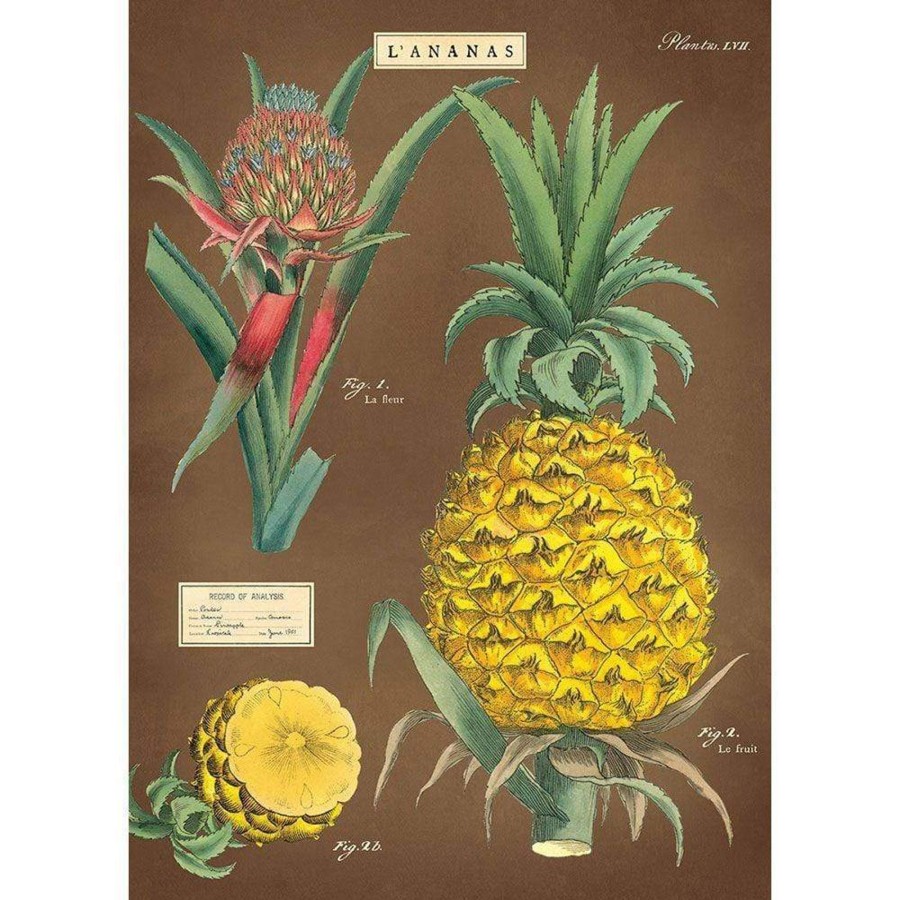 Babys Room Cavallini & Co Room Decor | Cavallini & Co Pineapple Poster